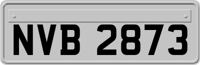 NVB2873