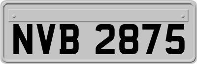 NVB2875