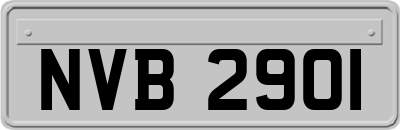NVB2901