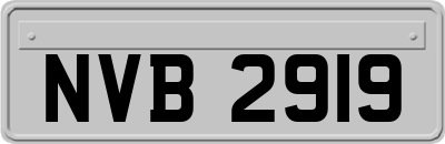 NVB2919