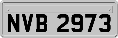 NVB2973