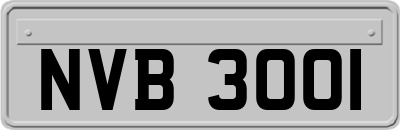 NVB3001