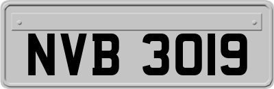 NVB3019