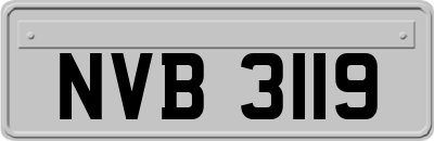 NVB3119