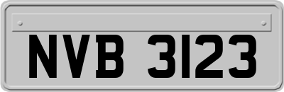 NVB3123
