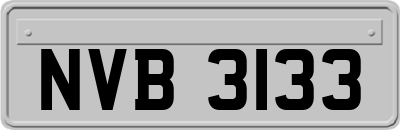 NVB3133