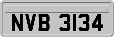 NVB3134
