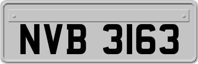 NVB3163