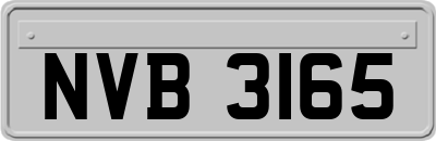 NVB3165