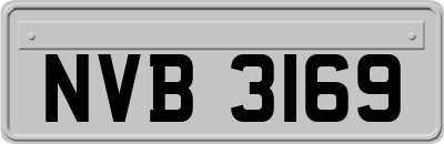 NVB3169