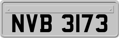 NVB3173