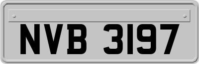 NVB3197
