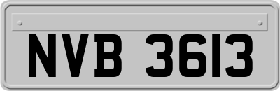 NVB3613