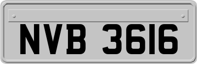 NVB3616