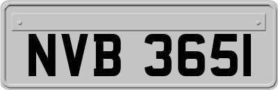 NVB3651