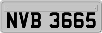 NVB3665