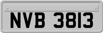 NVB3813