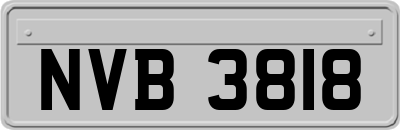 NVB3818