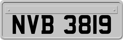 NVB3819