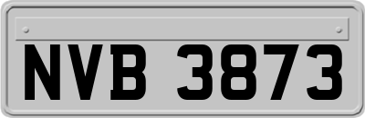 NVB3873
