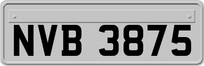 NVB3875