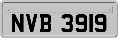 NVB3919