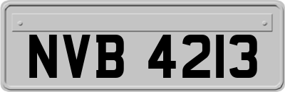 NVB4213