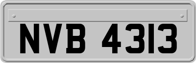 NVB4313