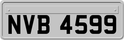 NVB4599