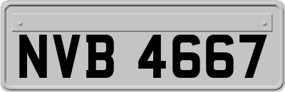 NVB4667