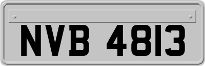 NVB4813