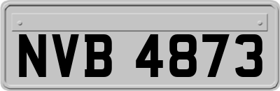 NVB4873
