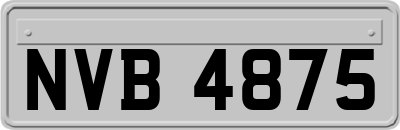 NVB4875