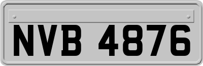 NVB4876