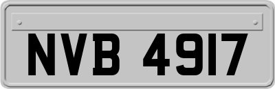 NVB4917