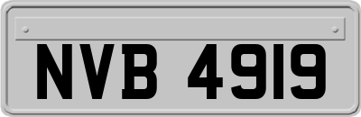 NVB4919