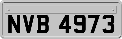 NVB4973