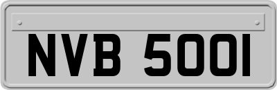 NVB5001