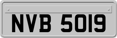 NVB5019