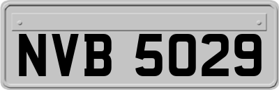 NVB5029