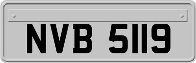 NVB5119