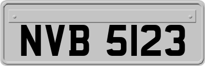 NVB5123