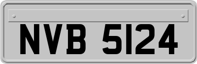 NVB5124