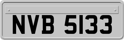 NVB5133
