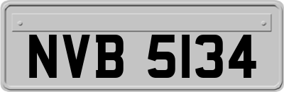 NVB5134
