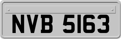 NVB5163