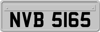 NVB5165