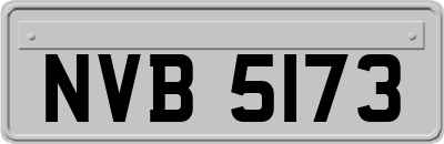 NVB5173