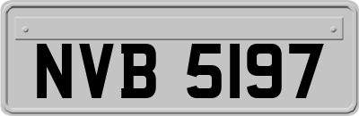 NVB5197