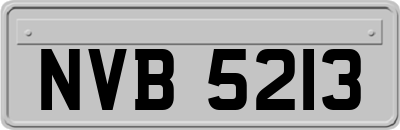 NVB5213